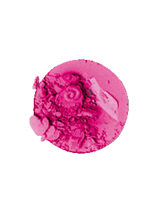 Sombra De Ojos Mate N14 4gr EVOLUX 2