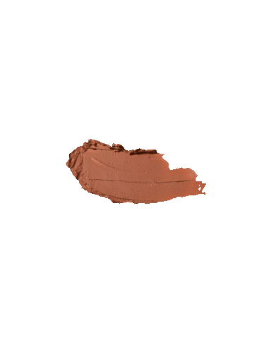 Barra De Labios Mate N02 4gr EVOLUX