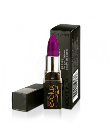 Barra De Labios Mate N02 4gr EVOLUX