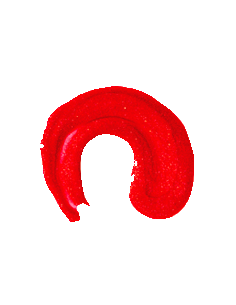 Brillo de Labios Voluminizador 3D N06 9mL EVOLUX 2