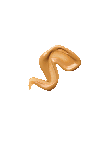 Maquillaje Alisante Perfeccionador N19 EVOLUX