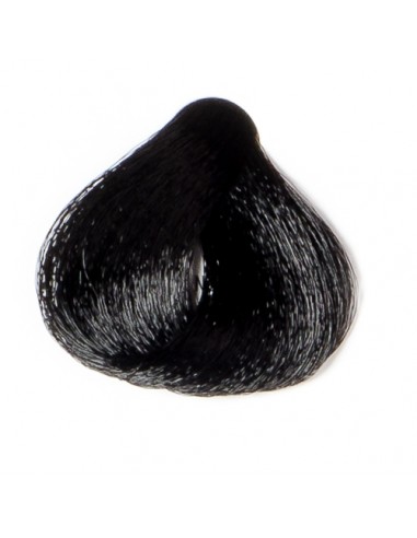 Longwell Hair Colors 120mL 1.00 Negro