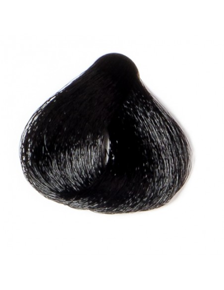 Longwell Hair Colors 120mL 1.00 Negro