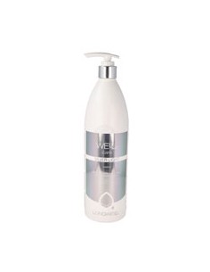 Shampoo Silver Light 1000mL LONGWELL
