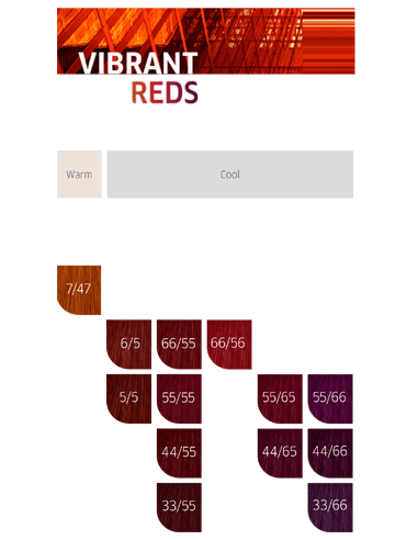 KOLESTON ME+ 55/65 Castaño Claro Intenso...